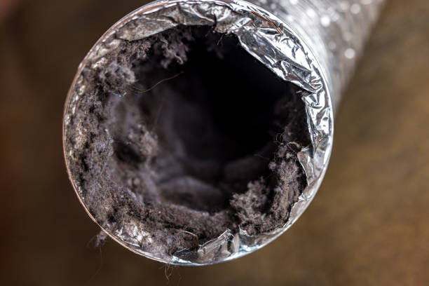 Best Best Air Duct Cleaning Near Me  in Antlers, OK
