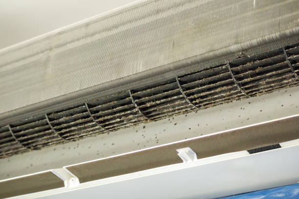 Best Ductwork Cleaning Services  in Antlers, OK